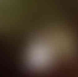 Bride wearing an elegant Mavery Hugh wedding dress with a classic fairytale silhouette.