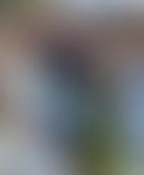 Wedding Belles Love, Wedding Dress Shop Near Me, Wedding Dresses Stoke on Trent, Wedding Dress Shop Staffordshire, Wedding Dress, Wedding Blog, Bridal Gowns Near Me, Stella York Wedding Dress