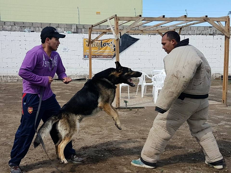 HA SKYLOS K9 S.A