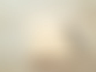 A dairy with a pen kept on a mat