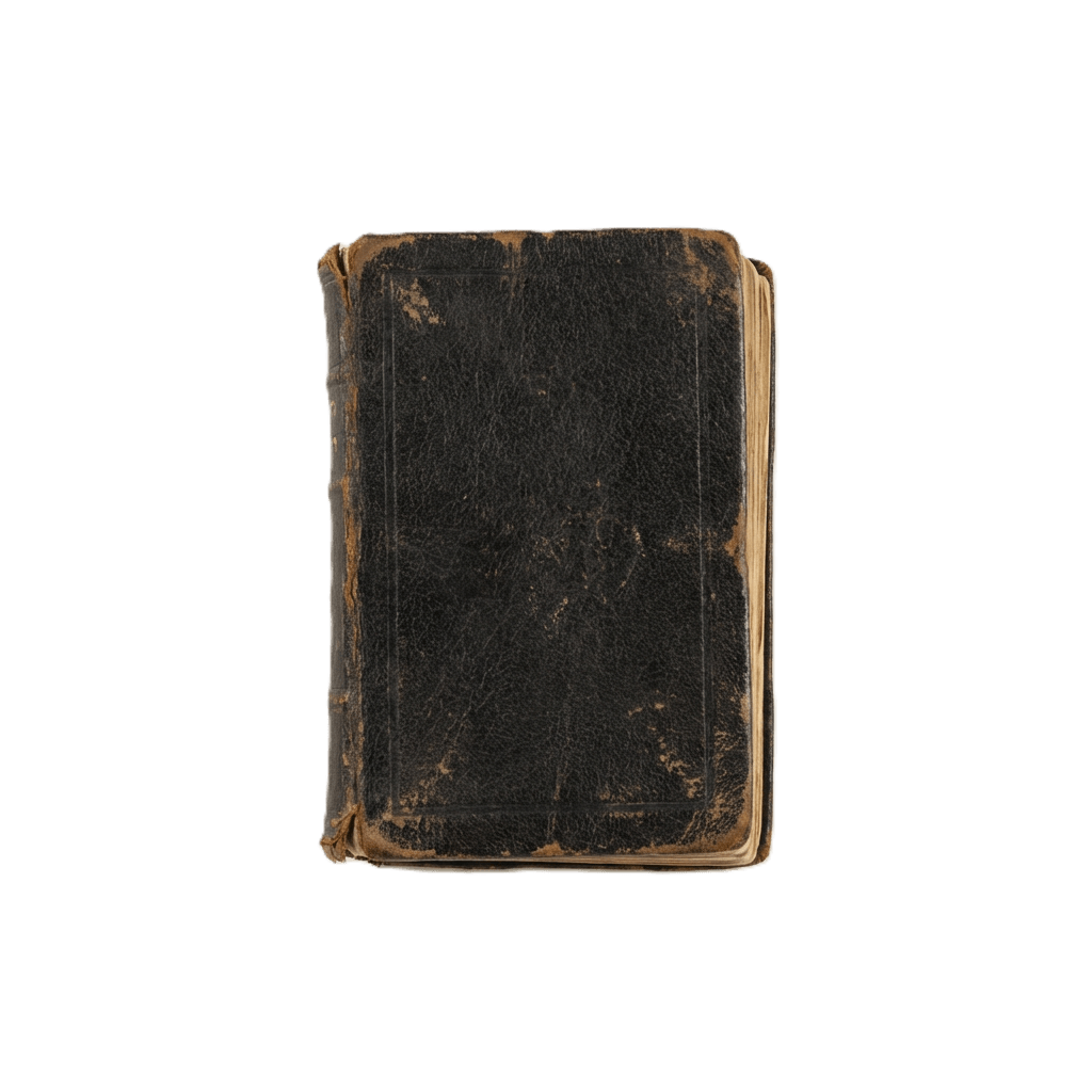 img6.png