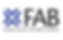 X-FAB (1).png