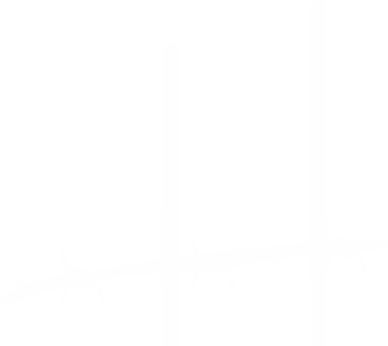 Footer big logo.png