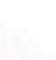 Card-BG_edited.png