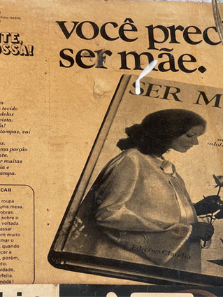 Fertilidade ou fertilização ?
