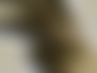 從張知難教授見證老化中的心理韌性