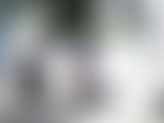 老婦人與我