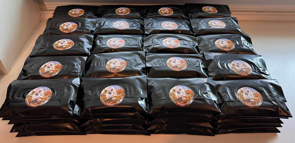 Thumbnail: Black Gathering the Magic Booster Bags from Rare Gaming