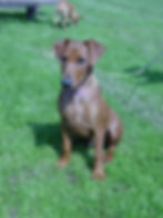 Beckham age four months