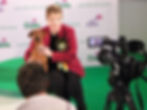 Crufts piece to camera