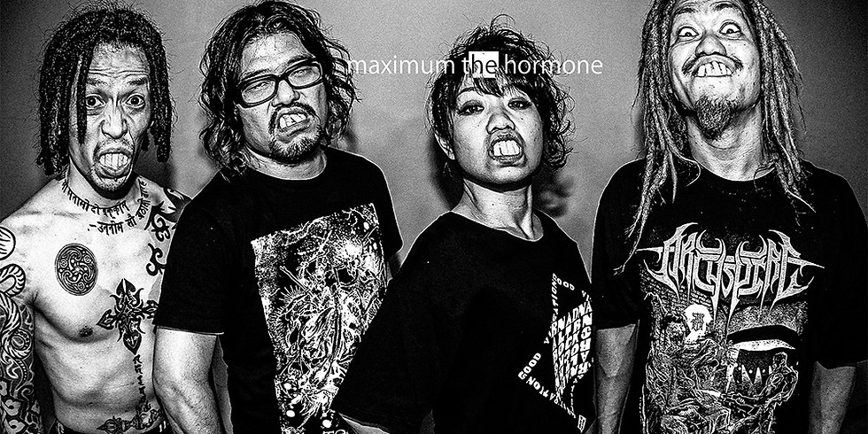 Maximum The Hormone