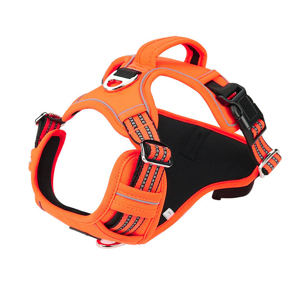 Miniatura: Resilient Adventure Pet Harness