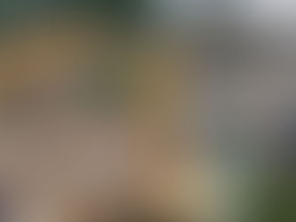 DES CORPS OUBLIÉS SOUS LES GRAVATS DU SITE DE MOBIL GUINNESS