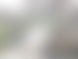 UNE VINGTAINE DE QUARTIERS EXPOSÉS AUX RISQUES DES CATASTROPHES NATURELLES