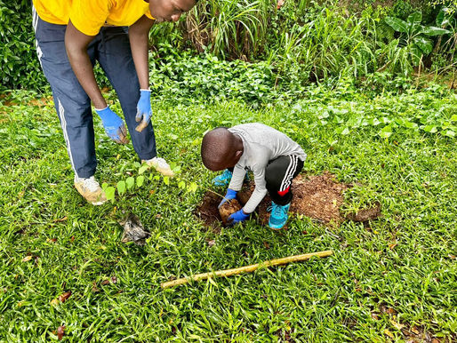 MTN Cameroon et l’Association Hope plantent des arbres au Parcours Vita de Douala