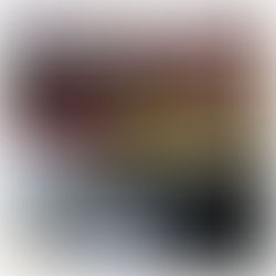 Le Président engage les membres à passer de la mandature de l’apprentissage à la mandature de l’action