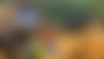 Le Gouverneur de la Région du Littoral a procédé à la destruction des 2 491 kg de stupéfiants saisis