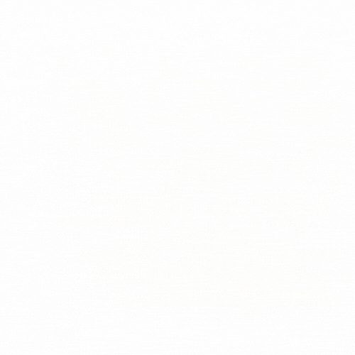 bronze.gif