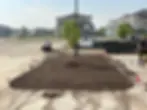 A large, rectangular dirt bed with a single small tree in the center, surrounded by concrete and landscaping equipment.