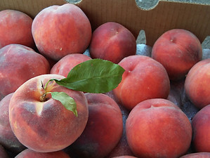 Fresh Colorado Palisade peaches