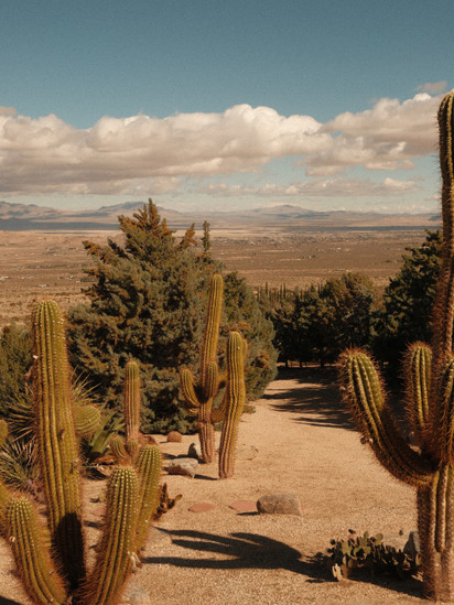 cactus gardens at rw ranch