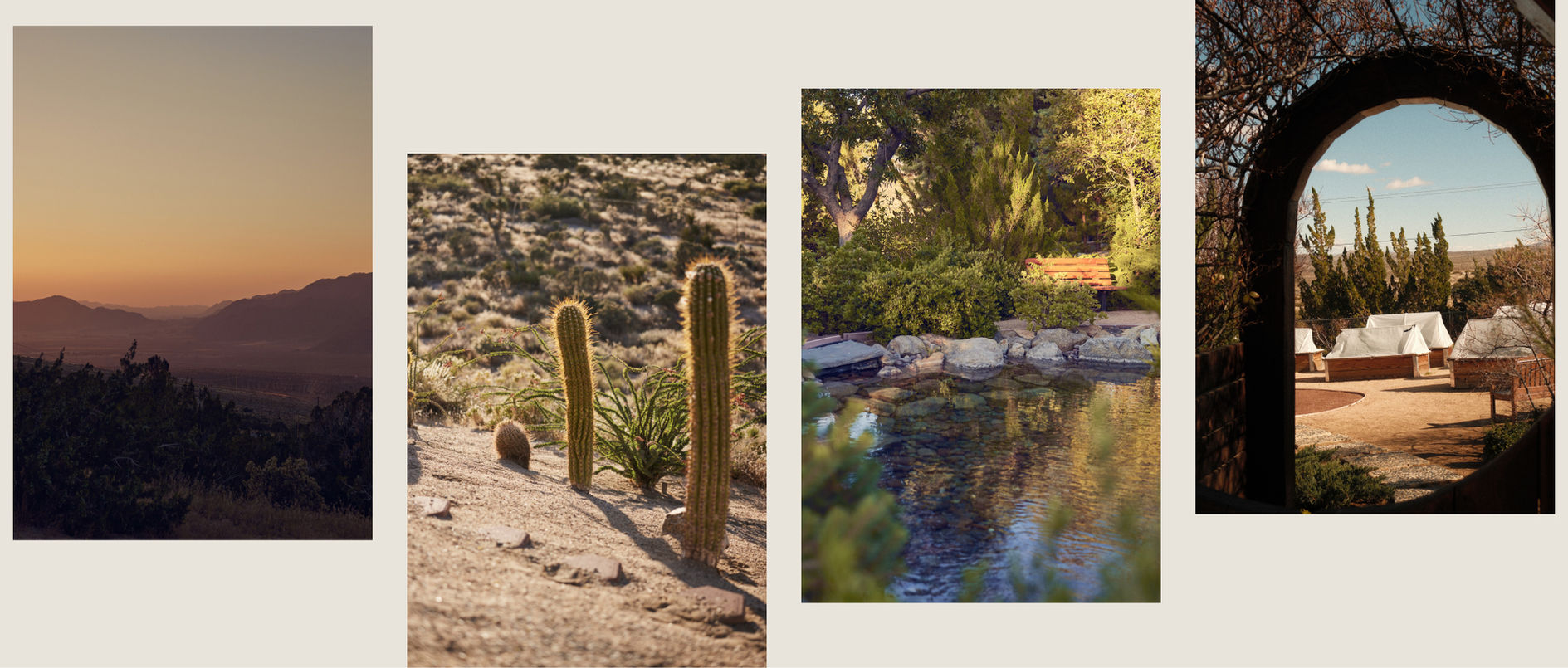 Images of different gardens at Royal Way Ranch