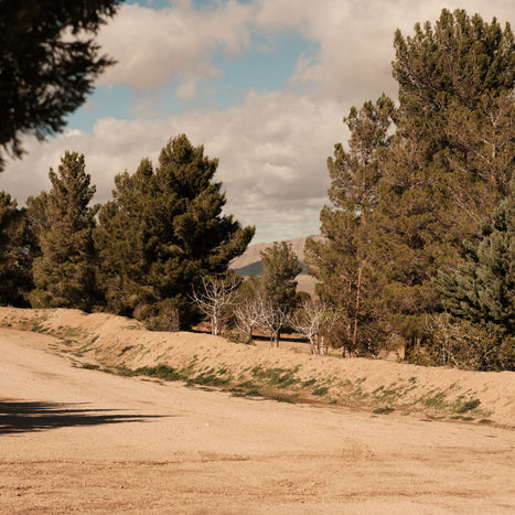 desert walk at royal way spiritual retreat center