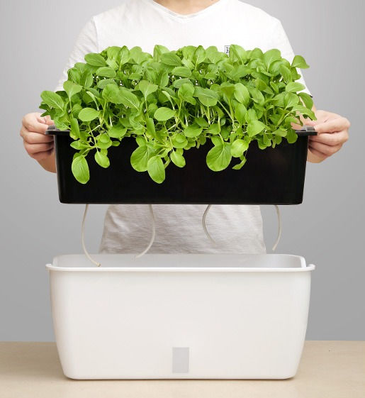 Thumbnail: Planter - 2 Layer