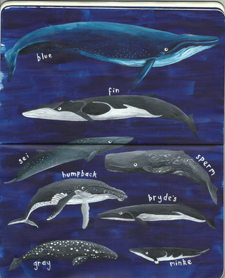 Scan 12.jpeg