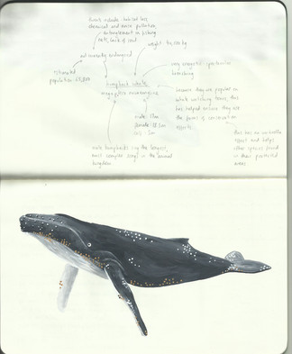 Scan 2.jpeg
