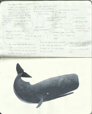Scan 8.jpeg