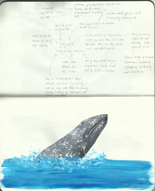Scan 6.jpeg