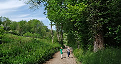 wandeling-Valkenburg-door-natuur-en-langs-kastelen.jpeg