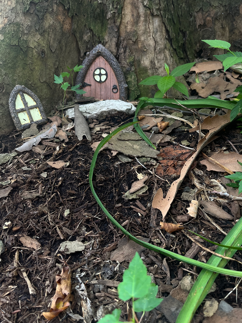 Domicile in Nature 2025.