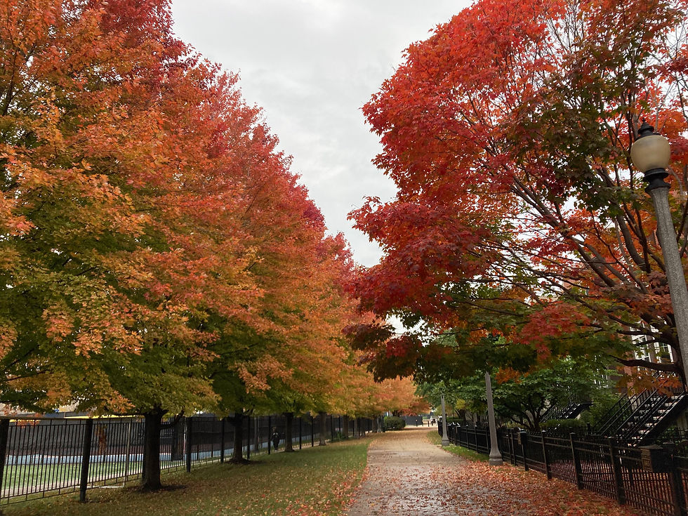On Campus in the Fall. 2021.