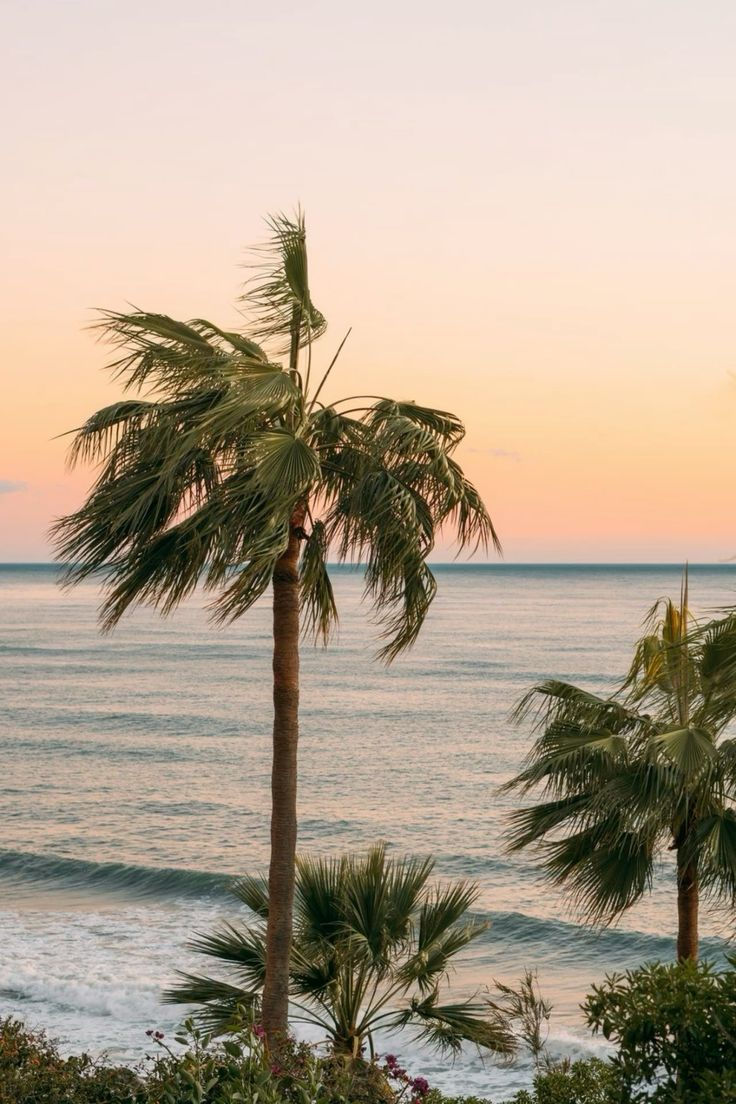 Easy Breezy Summer Morning - half day Retreat