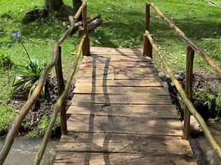 Aventúrate en la Naturaleza