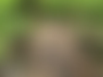 Aventúrate en la Naturaleza