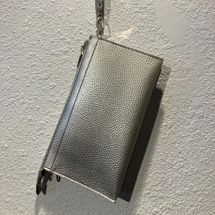 Silver Clutch $28