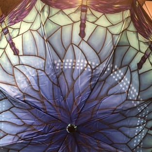 Dragon Fly Reverse Close Umbrella $37