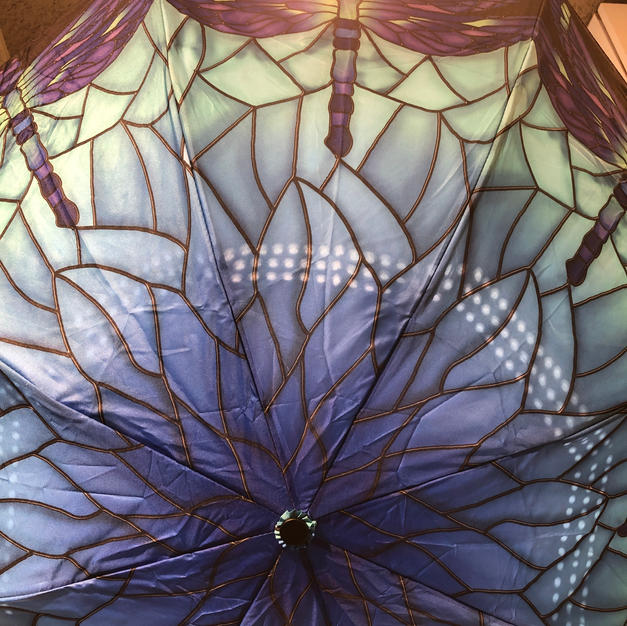 Dragon Fly Reverse Close Umbrella $37