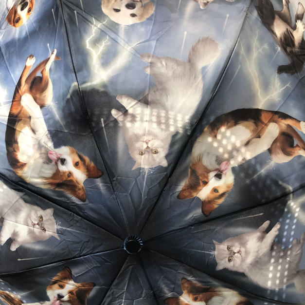 Raining Cats & Dogs Reverse Close Umbrella $37