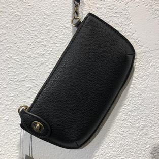 Black Clutch $32