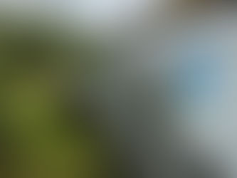 Creating a Forest School for St Saviour’s Primary, Ellesmere Port 🌿🔥