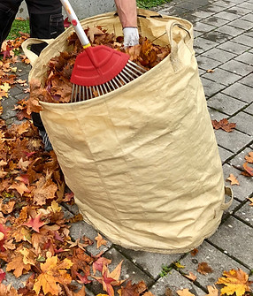 Laubrechen mit Sack