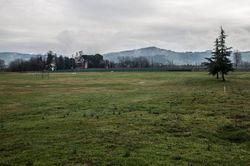 golf_4