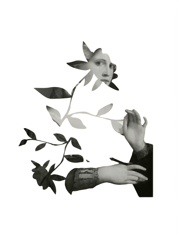 image 29