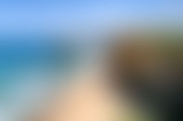 Trowback 3 šÆšāļø