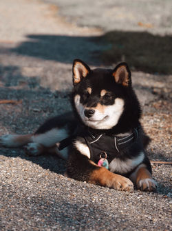 image00006
