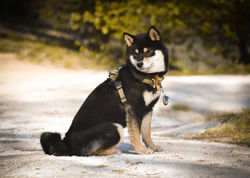 image00002